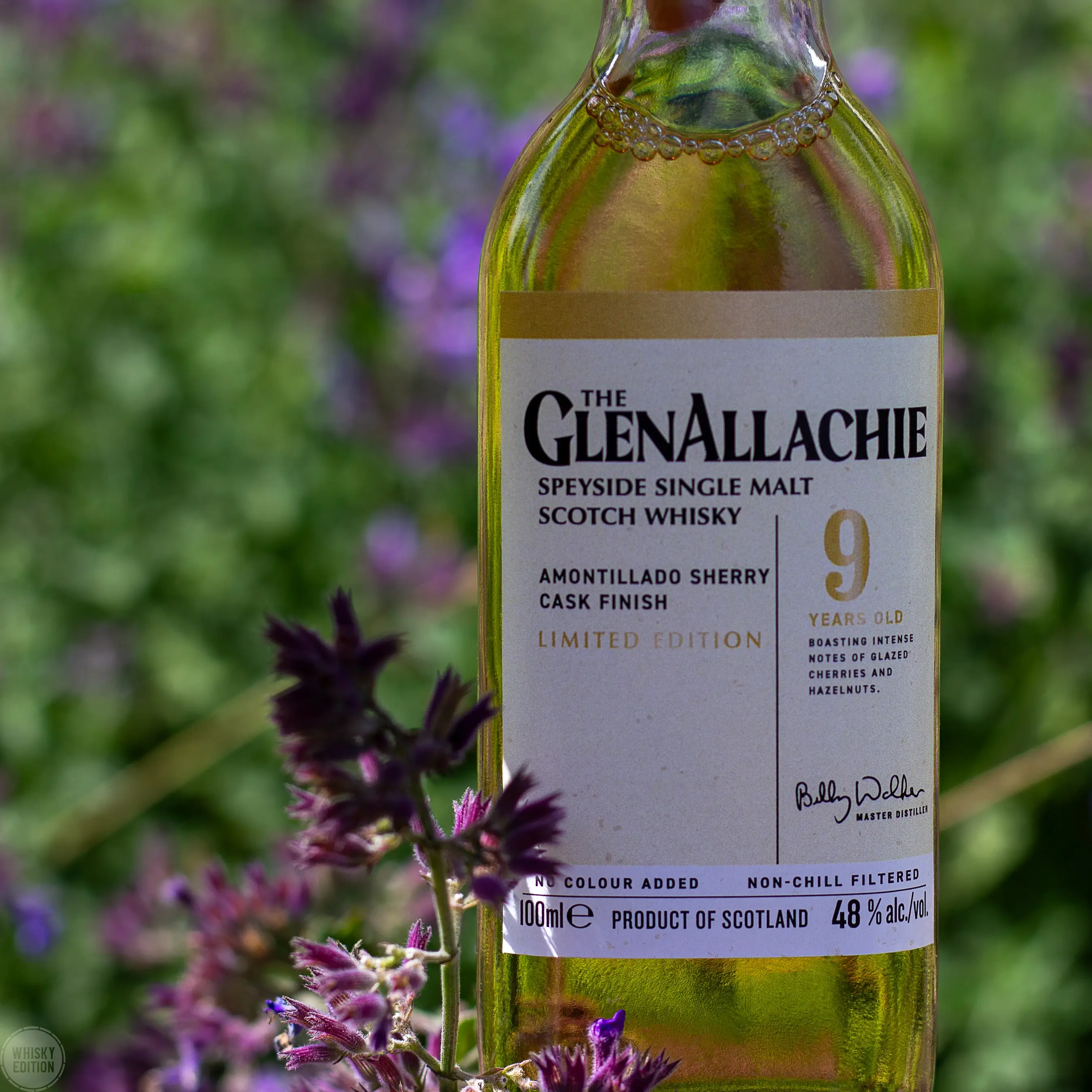 GlenAllachie 9 Jahre Amontillado Sherry Cask Finish - The Wood Collection