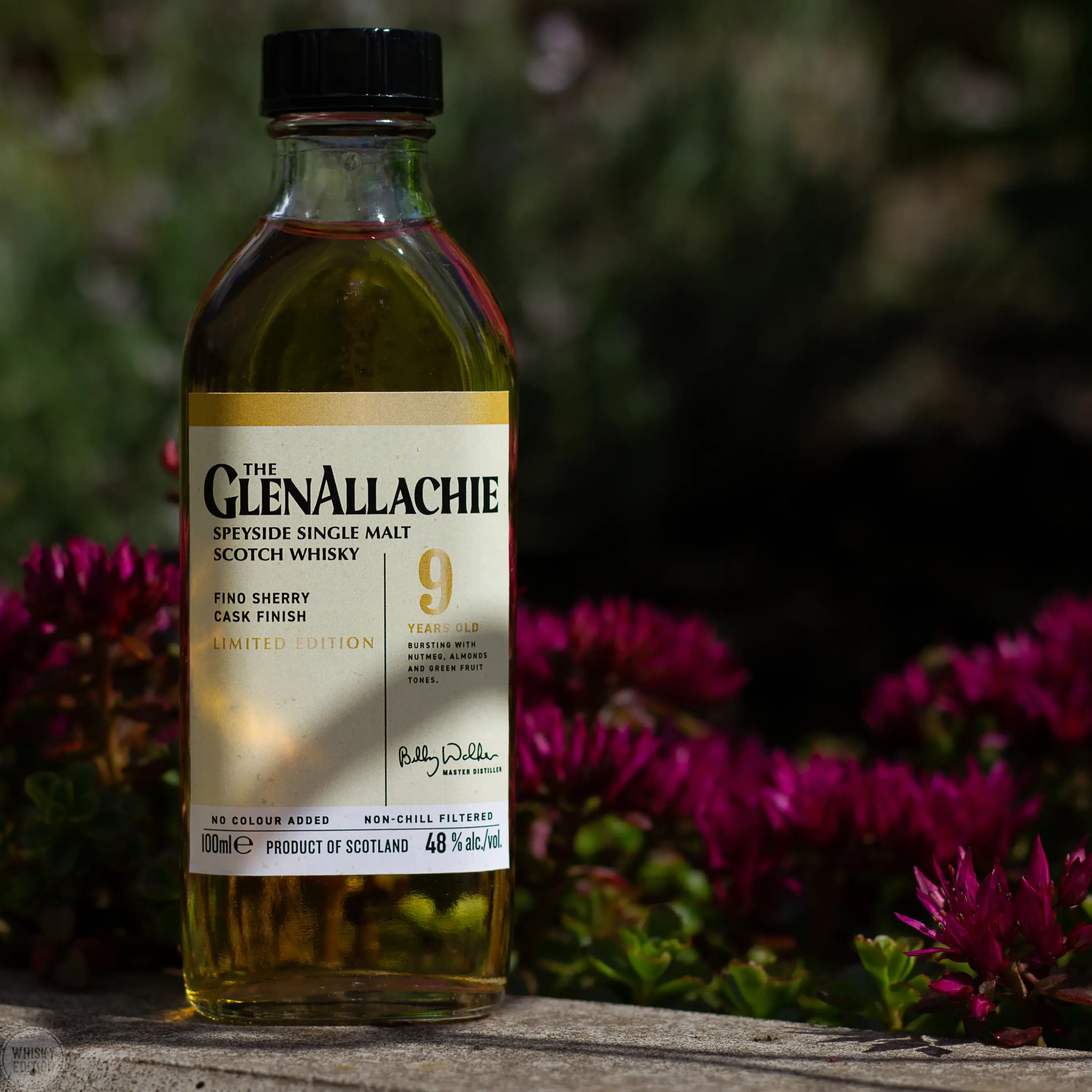 GlenAllachie 9 Jahre Fino Sherry Cask Finish - The Wood Collection