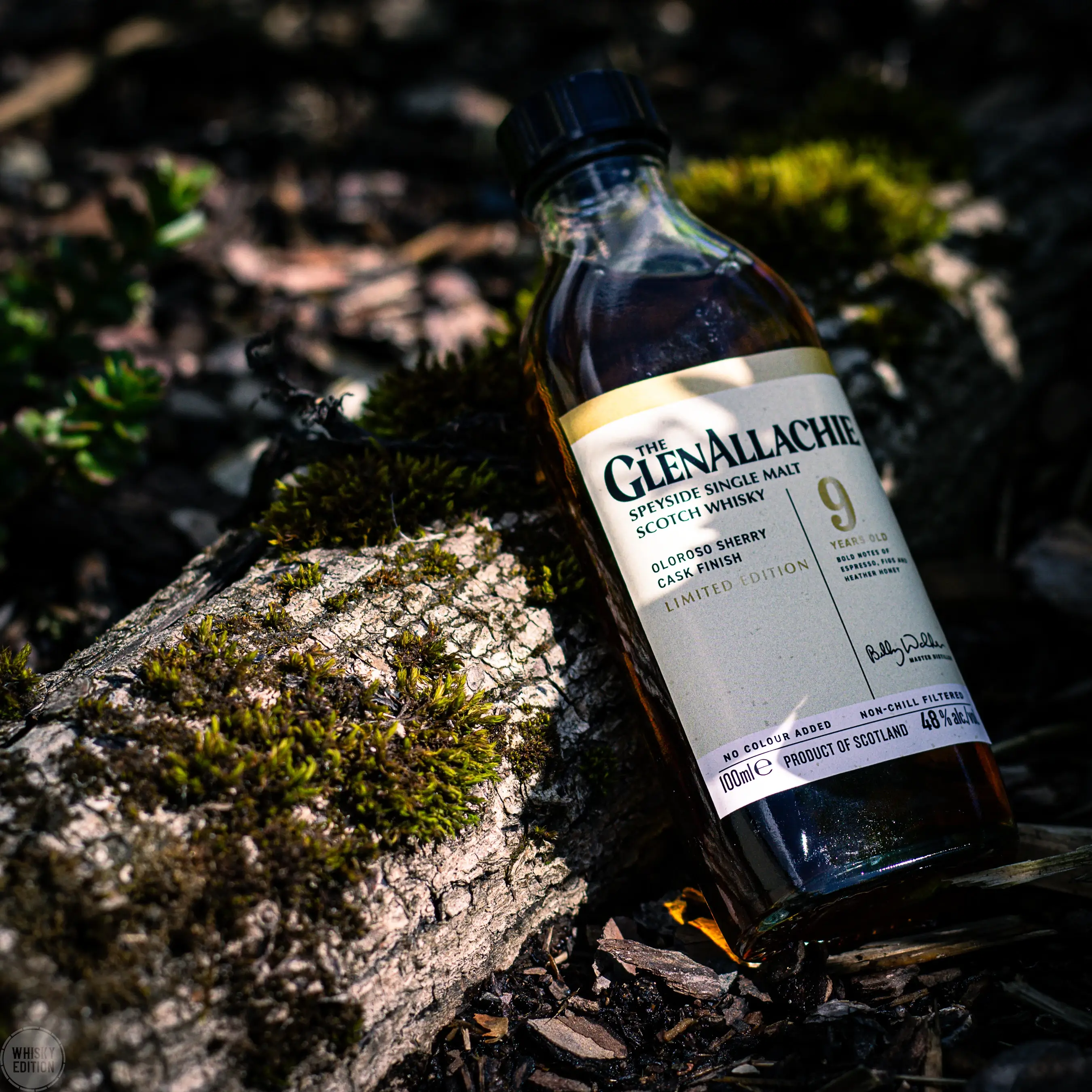 GlenAllachie 9 Jahre Oloroso Sherry Cask Finish - The Wood Collection