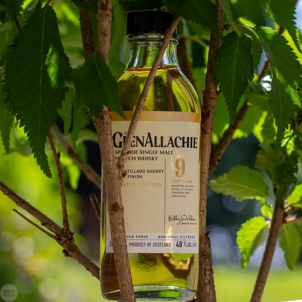 GlenAllachie 9 Jahre Amontillado Sherry Cask Finish - The Wood Collection